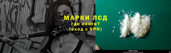 стаф Алексин