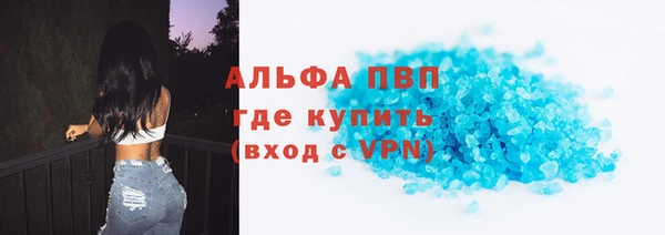 стаф Алексин