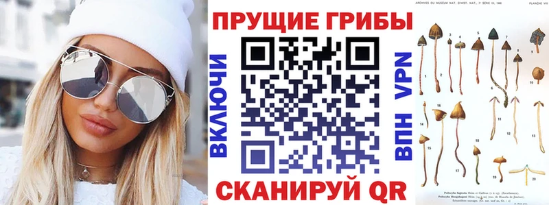 Галлюциногенные грибы мицелий ОМГ ОМГ ссылки Арамиль закладки